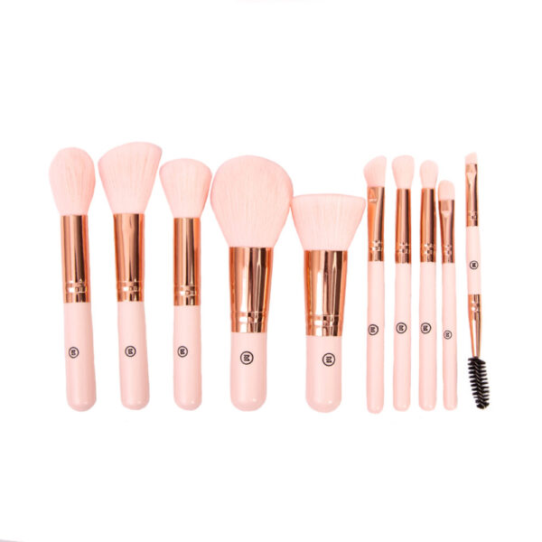KIT BROCHAS X 10 VIAJERO MONTOCKi (copia)